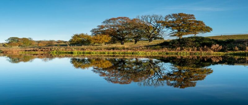 Felbrigg Lake, A serene lake with trees reflecting in the calm water.